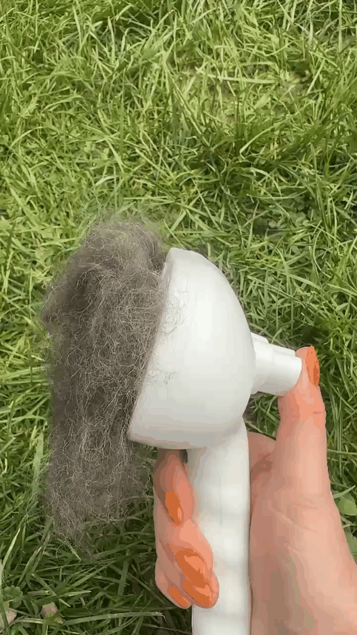 🐾 HydroBrush 🐶🐱