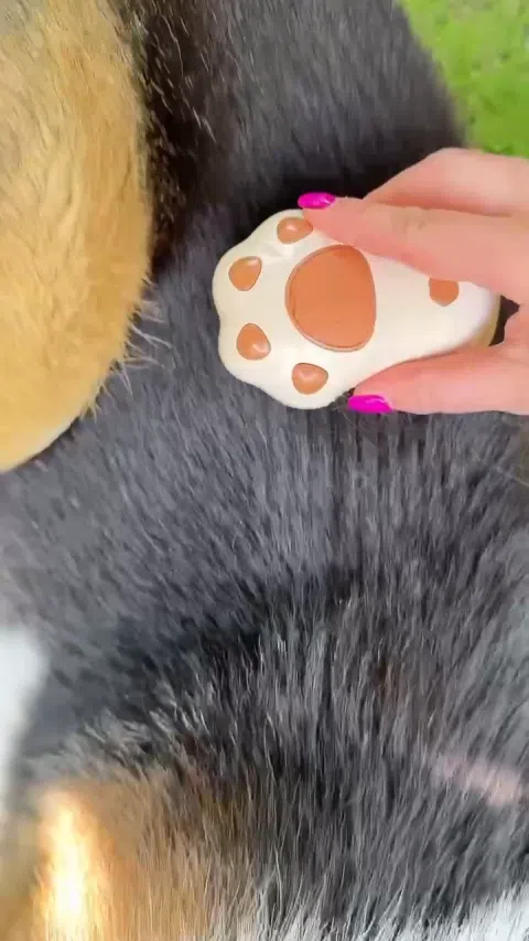 Szczotka z mgiełką dla zwierząt domowych