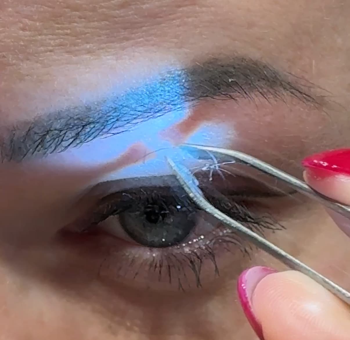 ✨ Świetlik - pęseta która widzi więcej